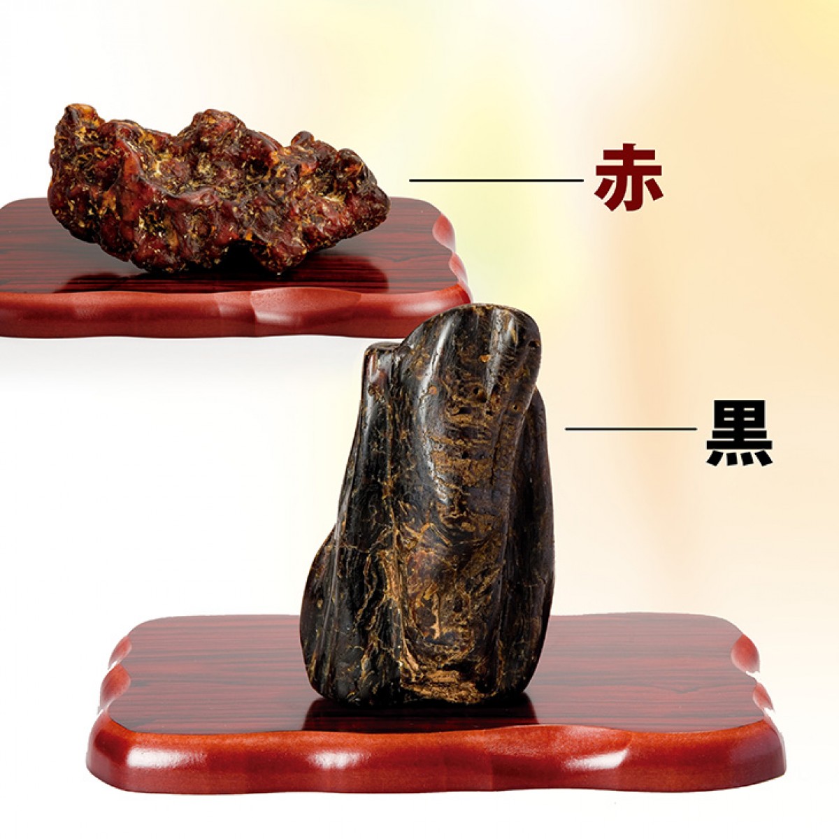 古代の樹脂化石『赤琥珀』/『黒琥珀』鑑別書付 | 東京書芸館公式通販 