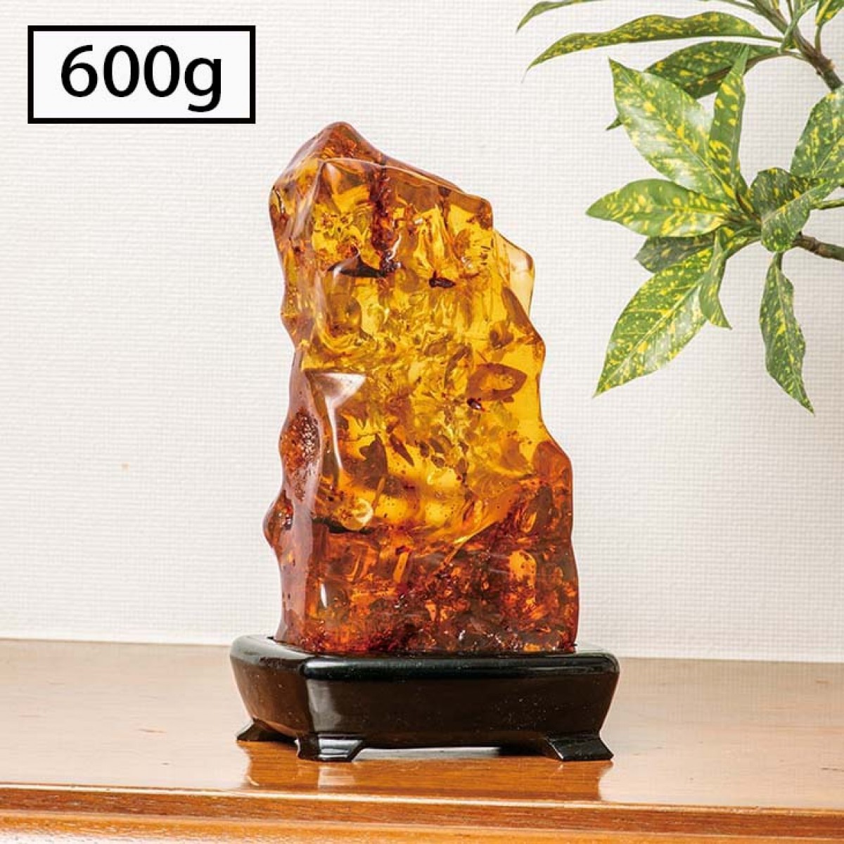 コロンビア産『巨大若琥珀原石』小 600g | 東京書芸館公式ウェブサイト