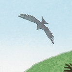 爽快に飛翔する鷲の描写
