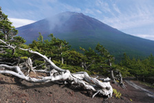 「天地の境」「天狗の庭」の異名を取る 富士山五合目
