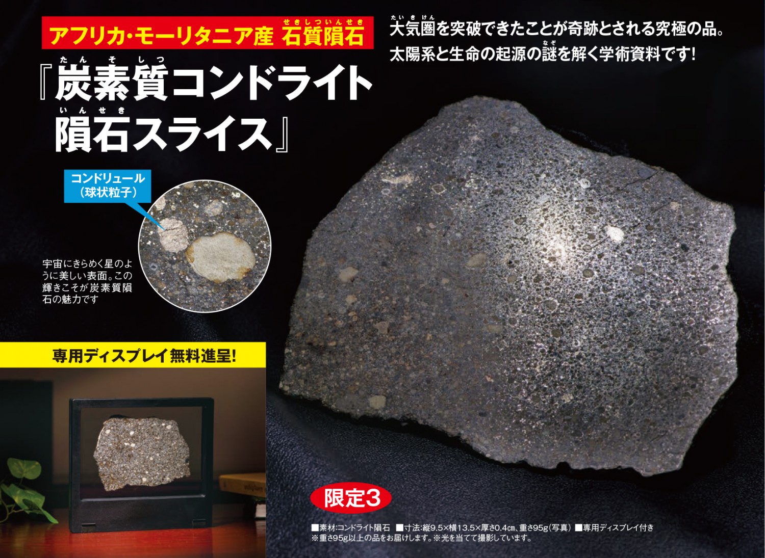 炭素質コンドライト隕石スライス - 【東京書芸館公式サイト 】国内外の
