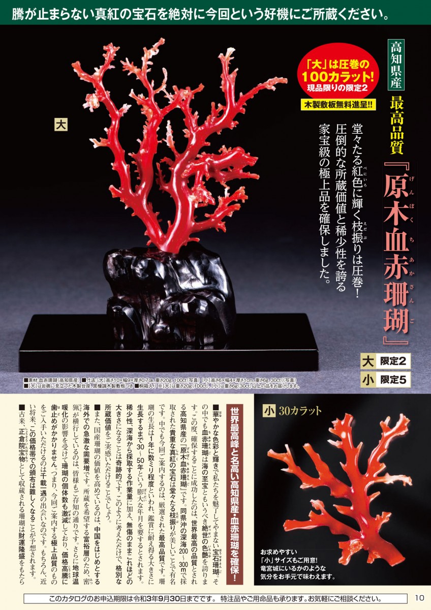 血赤珊瑚 原木 - 置物