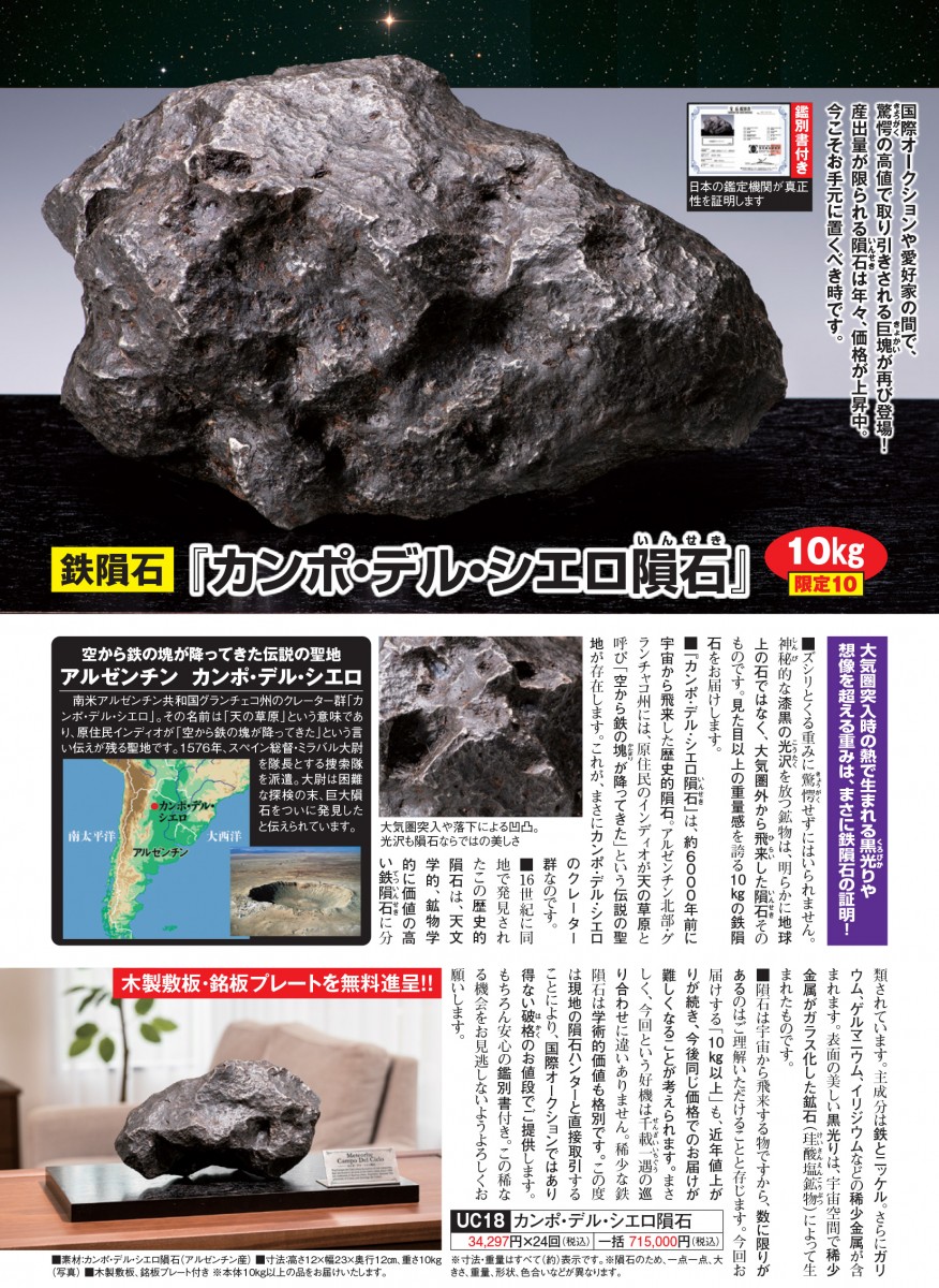 鉄隕石『カンポデルシエロ隕石 10kg』鑑別書・プレート付き - 【東京書 