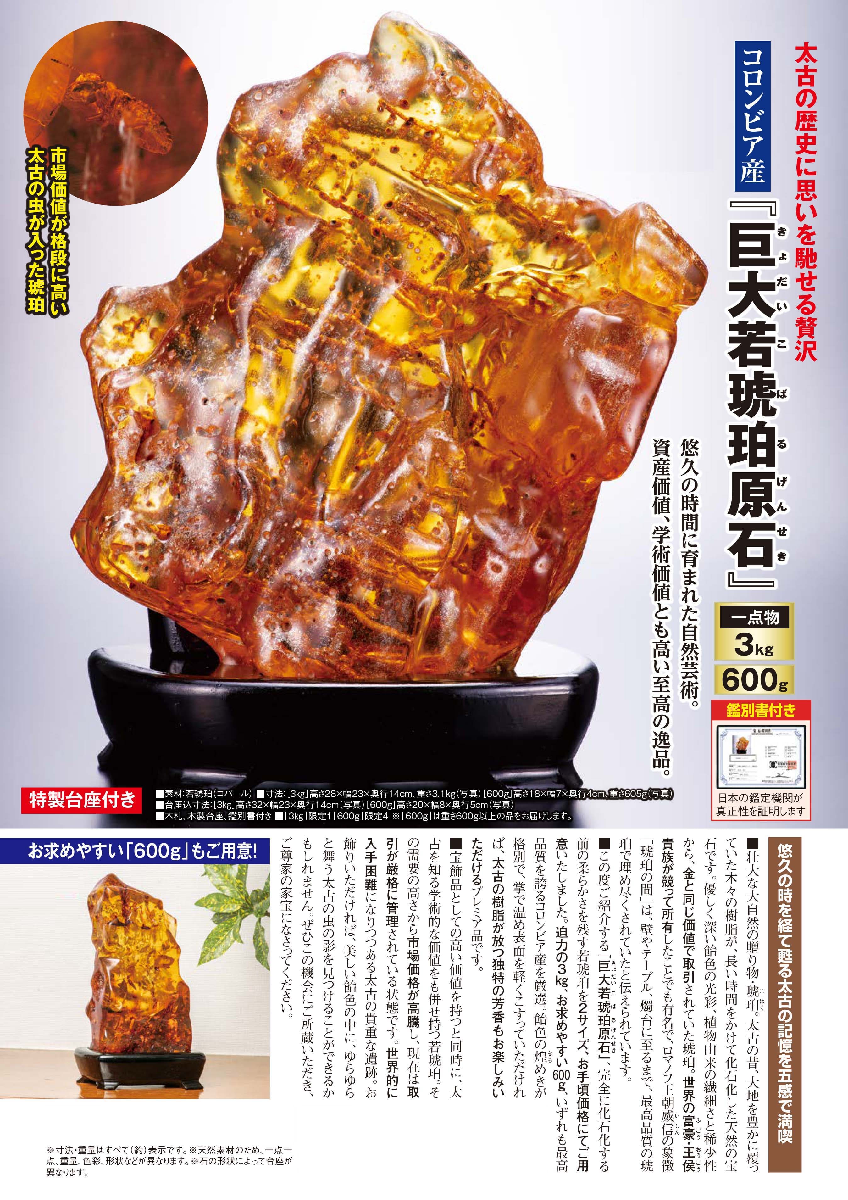 コロンビア産『巨大若琥珀原石』小 600g | 東京書芸館公式ウェブサイト