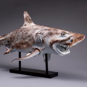 巨大模型『海の王者ホホジロザメ』