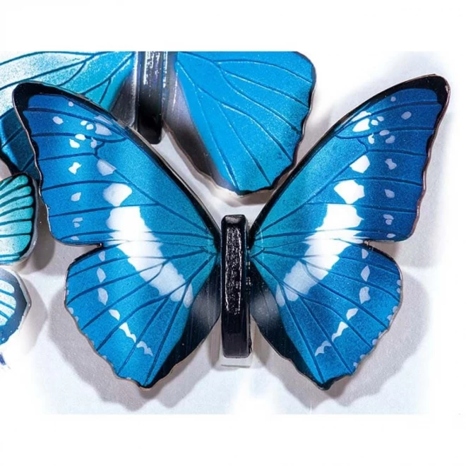 蝶の標本 - その他