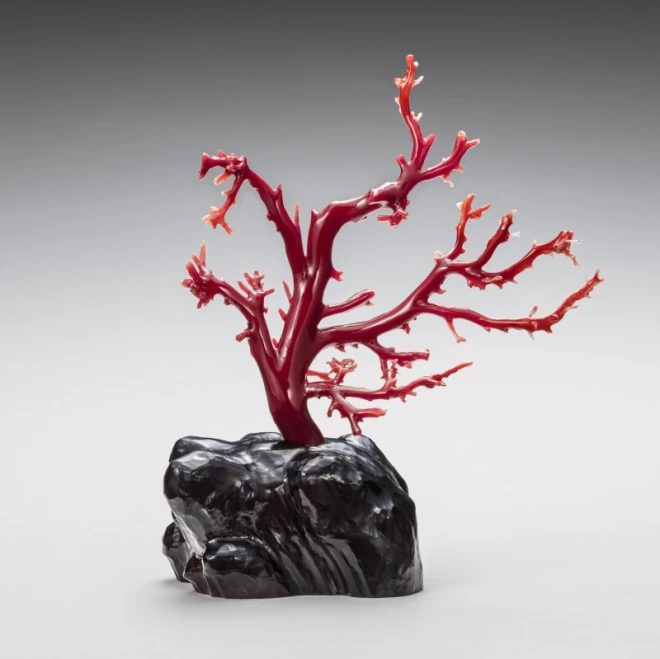(R1005-7)『最高級高知県産』天然血赤珊瑚　2.427ctルース