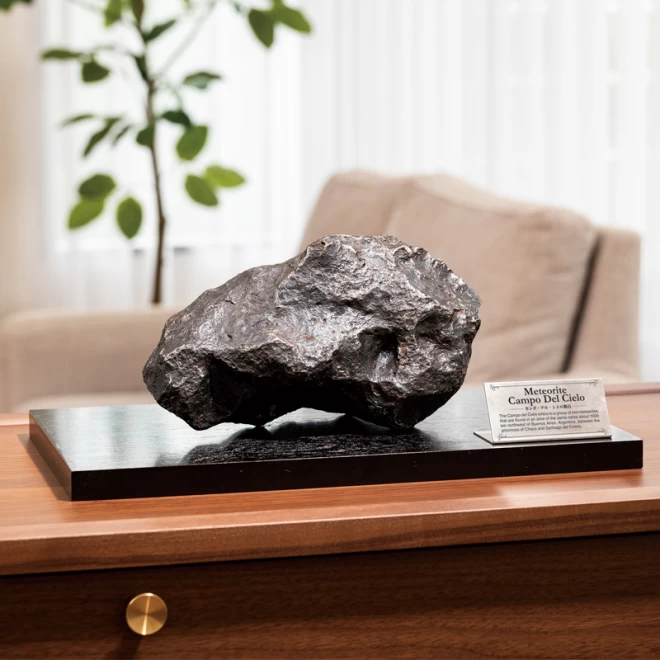 鉄隕石『カンポデルシエロ隕石 10kg』鑑別書・プレート付き