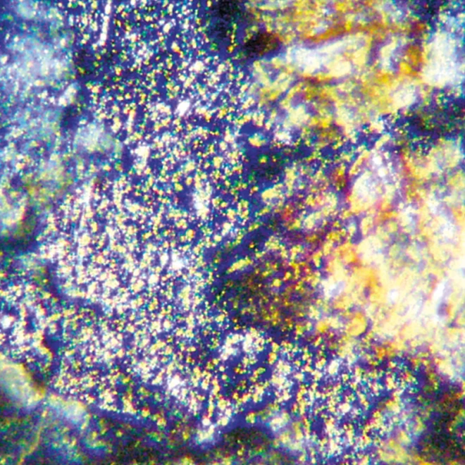 炭素質コンドライト隕石スライス