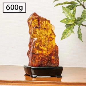 コロンビア産『巨大若琥珀原石』小 600g