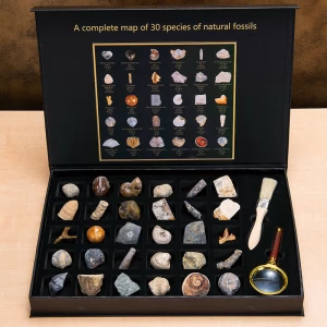 『極上化石コレクション』30種